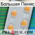 Большая Пенис 24